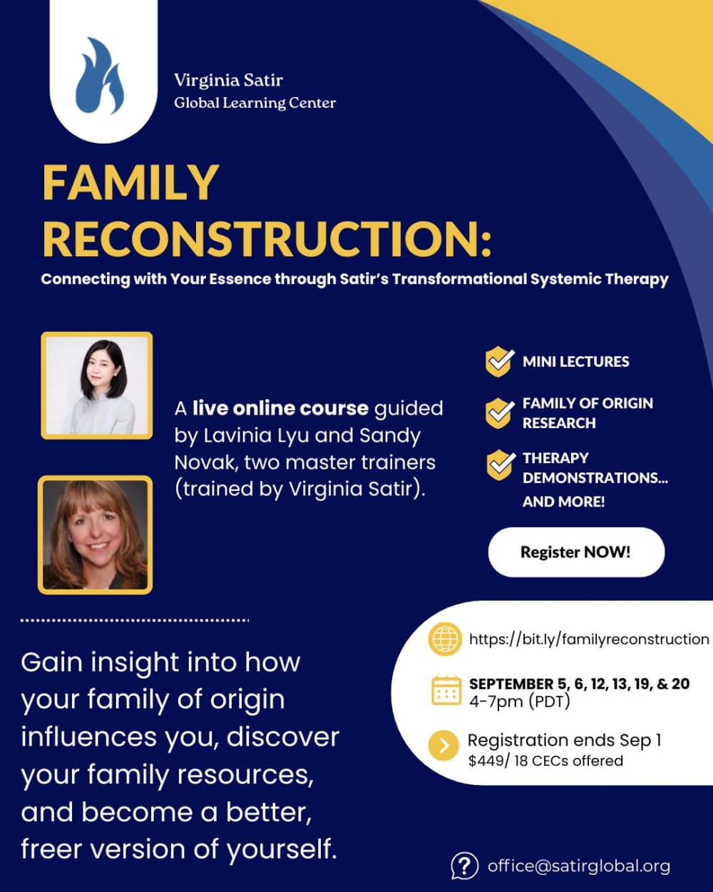 Family Reconstruction Live Online Course